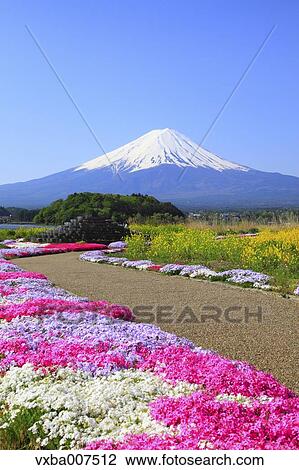 "Yamanashi Prefecture, Japan" View Large Photo Image Stock Image - "Yamanashi Prefecture, Japan". Fotosearch