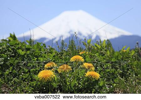 Stock Image - "Yamanashi Prefecture, Japan". Fotosearch