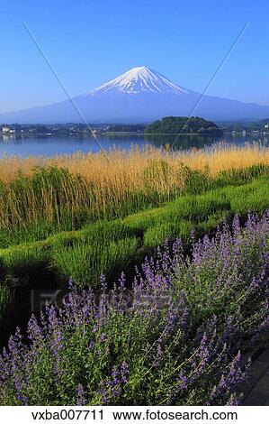 Stock Image - "Yamanashi Prefecture, Japan". Fotosearch