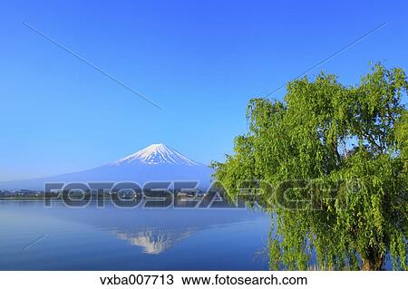 "Yamanashi Prefecture, Japan" View Large Photo Image Stock Image - "Yamanashi Prefecture, Japan". Fotosearch