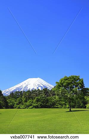 "Yamanashi Prefecture, Japan" View Large Photo Image Stock Image - "Yamanashi Prefecture, Japan". Fotosearch