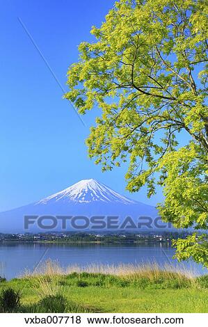 Stock Photo - "Yamanashi Prefecture, Japan". Fotosearch