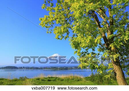 Stock Photo - "Yamanashi Prefecture, Japan". Fotosearch