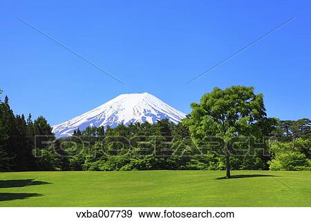"Yamanashi Prefecture, Japan" View Large Photo Image Stock Photo - "Yamanashi Prefecture, Japan". Fotosearch