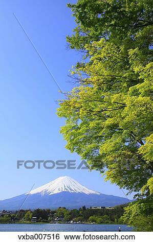 "Yamanashi Prefecture, Japan" View Large Photo Image Stock Photograph - "Yamanashi Prefecture, Japan". Fotosearch