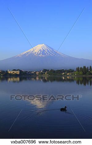 "Yamanashi Prefecture, Japan" View Large Photo Image Stock Photograph - "Yamanashi Prefecture, Japan". Fotosearch