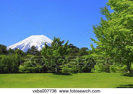 "Yamanashi Prefecture, Japan" View Large Photo Image Stock Photograph - "Yamanashi Prefecture, Japan". Fotosearch