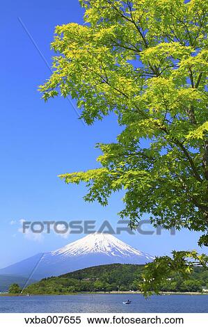 "Yamanashi Prefecture, Japan" View Large Photo Image Stock Photography - "Yamanashi Prefecture, Japan". Fotosearch