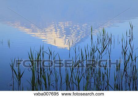 "Yamanashi Prefecture, Japan" View Large Photo Image Stock Photography - "Yamanashi Prefecture, Japan". Fotosearch