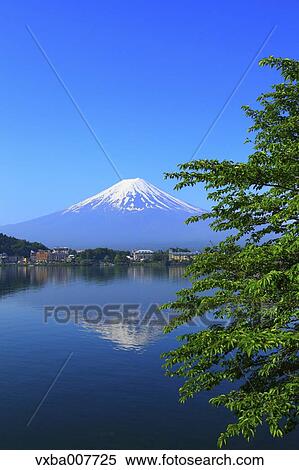 "Yamanashi Prefecture, Japan" View Large Photo Image Stock Photography - "Yamanashi Prefecture, Japan". Fotosearch