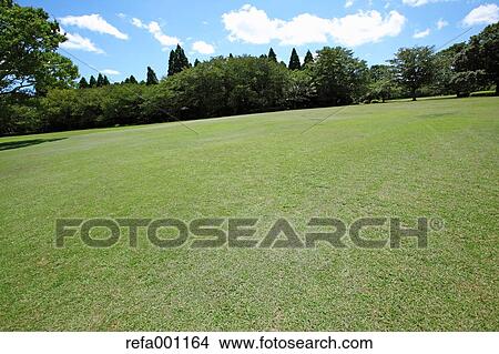 Picture - City park and blue sky. Fotosearch
