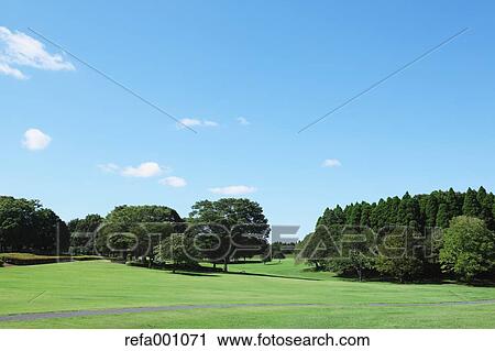 Stock Image - City park and blue sky. Fotosearch