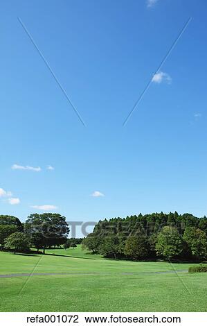 Stock Image - City park and blue sky. Fotosearch