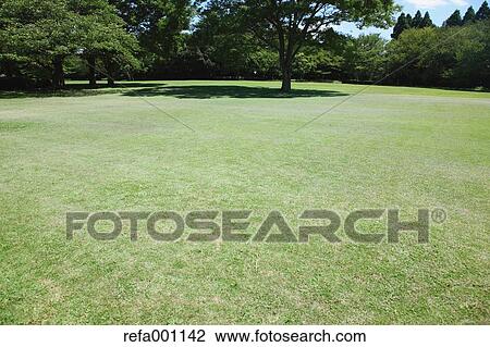 Stock Image - City park and blue sky. Fotosearch