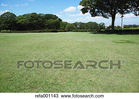 City park and blue sky View Large Photo Image Stock Image - City park and blue sky. Fotosearch