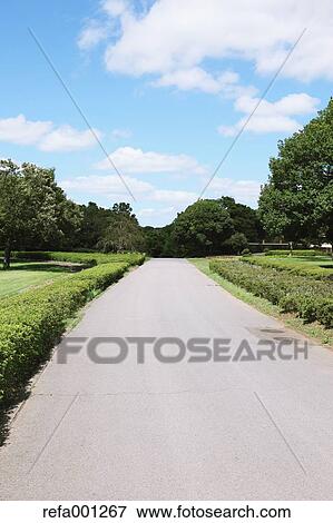 City park and blue sky View Large Photo Image Stock Photo - City park and blue sky. Fotosearch