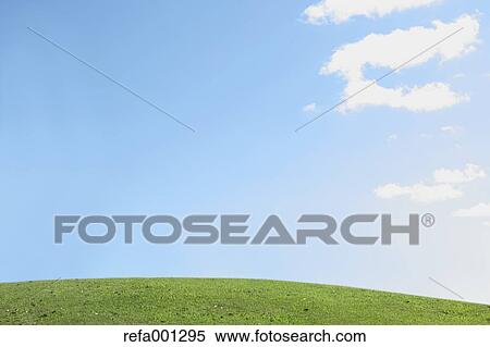 Stock Photography - City park and blue sky. Fotosearch