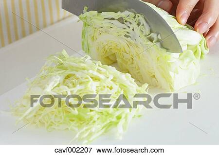 Close up of woman's hands cutting cabbage with a kitchen knife View Large Photo Image Stock Photo - Close up of woman's hands cutting cabbage with a kitchen knife. Fotosearch
