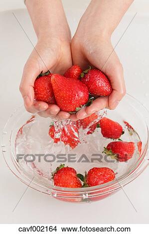 Close up of woman's hands washing strawberries View Large Photo Image Picture - Close up of woman's hands washing strawberries. Fotosearch