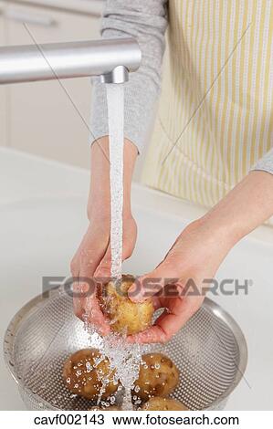 Close up of woman's hands washing potatoes View Large Photo Image Stock Image - Close up of woman's hands washing potatoes. Fotosearch