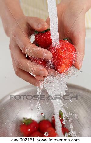 Close up of woman's hands washing strawberries View Large Photo Image Stock Image - Close up of woman's hands washing strawberries. Fotosearch