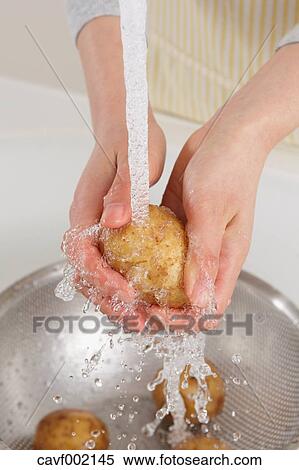 Close up of woman's hands washing potatoes View Large Photo Image Stock Photography - Close up of woman's hands washing potatoes. Fotosearch