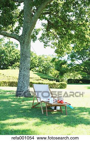 Picture - Deck chair in a city park. Fotosearch