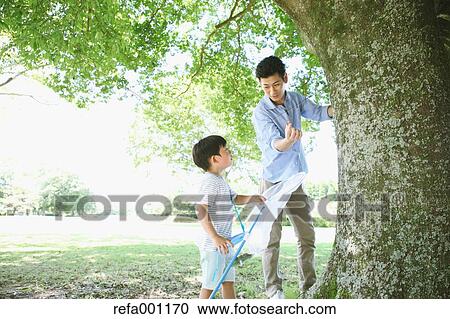 Stock Image - Happy Japanese father and son catching insects in a city park. Fotosearch