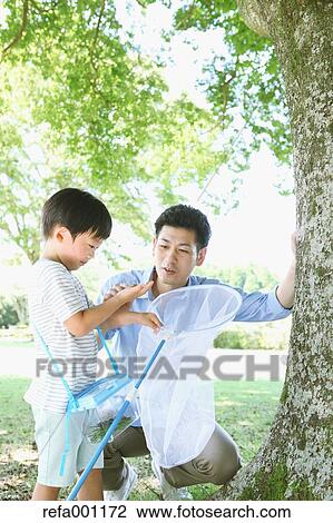 Happy Japanese father and son catching insects in a city park View Large Photo Image Stock Image - Happy Japanese father and son catching insects in a city park. Fotosearch