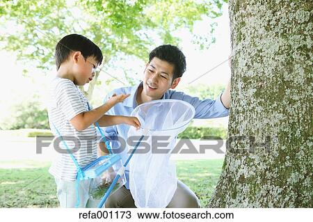 Happy Japanese father and son catching insects in a city park View Large Photo Image Stock Image - Happy Japanese father and son catching insects in a city park. Fotosearch