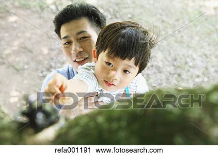 Happy Japanese father and son catching insects in a city park View Large Photo Image Stock Image - Happy Japanese father and son catching insects in a city park. Fotosearch
