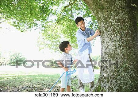 Happy Japanese father and son catching insects in a city park View Large Photo Image Stock Photo - Happy Japanese father and son catching insects in a city park. Fotosearch