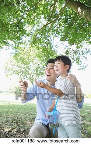 Happy Japanese father and son catching insects in a city park View Large Photo Image Stock Photo - Happy Japanese father and son catching insects in a city park. Fotosearch