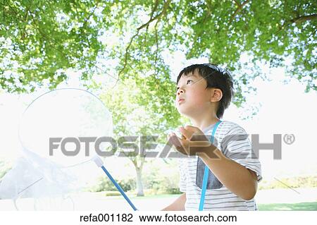Japanese young boy with butterfly net in a city park View Large Photo Image Stock Image - Japanese young boy with butterfly net in a city park. Fotosearch