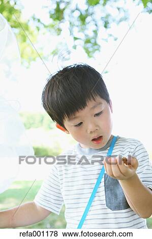 Japanese young boy with butterfly net in a city park View Large Photo Image Stock Photo - Japanese young boy with butterfly net in a city park. Fotosearch