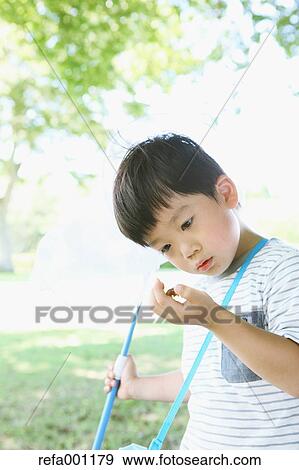 Japanese young boy with butterfly net in a city park View Large Photo Image Stock Photo - Japanese young boy with butterfly net in a city park. Fotosearch