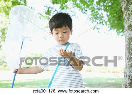 Japanese young boy with butterfly net in a city park View Large Photo Image Stock Photograph - Japanese young boy with butterfly net in a city park. Fotosearch