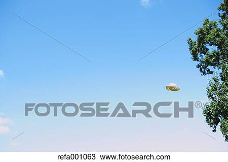 Straw hay flying in the sky in a park View Large Photo Image Stock Image - Straw hay flying in the sky in a park. Fotosearch