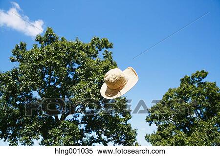 Stock Photography - Straw hay flying in the sky in a park. Fotosearch