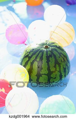 Watermelon in the water View Large Photo Image Picture - Watermelon in the water. Fotosearch