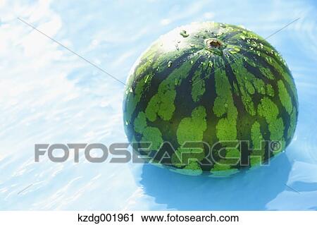 Watermelon in the water View Large Photo Image Stock Image - Watermelon in the water. Fotosearch