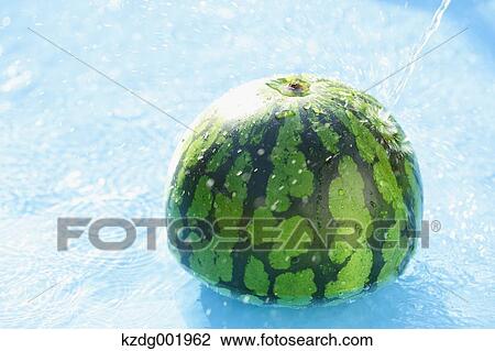 Watermelon in the water View Large Photo Image Stock Image - Watermelon in the water. Fotosearch