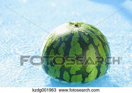 Watermelon in the water View Large Photo Image Stock Image - Watermelon in the water. Fotosearch