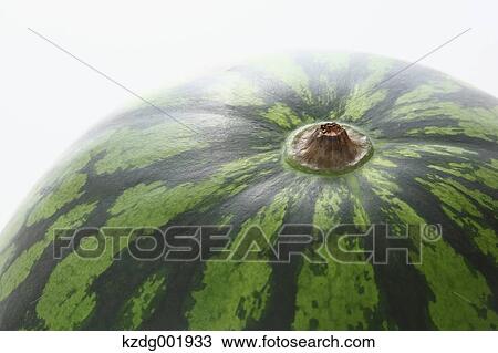 Stock Image - Watermelon. Fotosearch