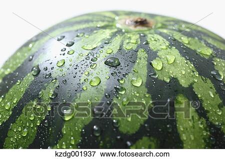 Stock Photo - Watermelon. Fotosearch