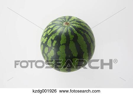Watermelon View Large Photo Image Stock Photograph - Watermelon. Fotosearch