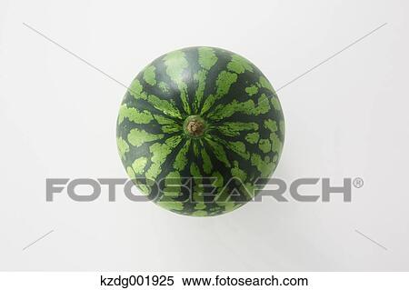 Watermelon View Large Photo Image Stock Photography - Watermelon. Fotosearch