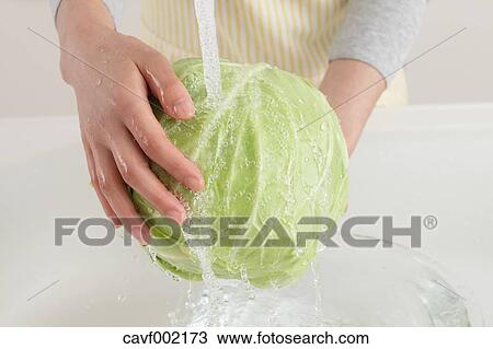 Stock Image - Woman washing cabbage in an open kitchen. Fotosearch