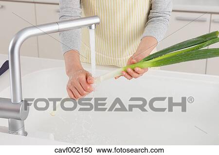 Woman washing green onions in an open kitchen View Large Photo Image Stock Image - Woman washing green onions in an open kitchen. Fotosearch