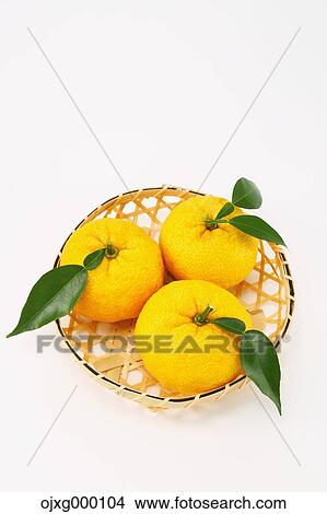 Yuzu View Large Photo Image Picture - Yuzu. Fotosearch